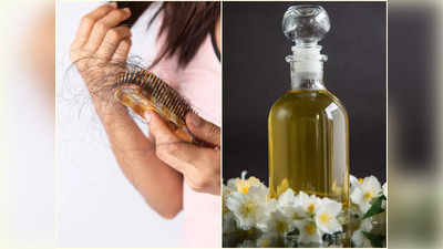 Ajwain Oil For Hair: চুল উঠে গিয়ে মাথার সামনে টাক? ঘরে তৈরি এই তেল ৩ দিন মালিশেই ফিরবে ঘন কালো চুল