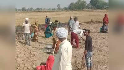 हरियाणा: मनरेगा में मृत लोगों के जॉब कार्ड बनाकर राशि डकार गए पंचायत अधिकारी, अब खुलने लगी परतें