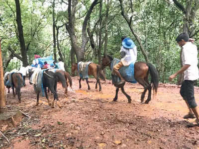 हनिमूनसाठी माथेरानला गेले अन् होत्याचं नव्हतं झालं, तरुणाचा घोड्यावरुन पडून मृत्यू