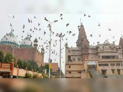Mathura: श्रीकृष्ण जन्मस्थान भूमि-शाही ईदगाह विवाद की सुनवाई टली, हिंदू संगठनों ने कहा- मस्जिद को हटाओ