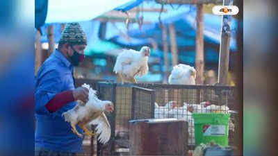 Kolkata Market Price: সবজির দর রইল সস্তাই, মঙ্গলে চিকেন কত? নজরে বাজার দর