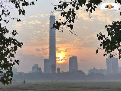 West Bengal Weather Update : ফেব্রুয়ারির শুরুতেই শীতের কামব্যাক, মেয়াদ কদ্দিন?