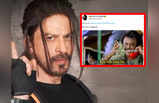 Pathaan Memes: SRK की पठान ने बिगाड़ा बॉक्स ऑफिस का मौसम, छप्पर फाड़ कमाई से आई मीम्स की बाढ़!
