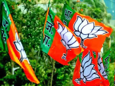 Chhattisgarh की सत्ता में वापसी के लिए BJP का प्लान रेडी! कई सीनियर विधायकों के कट सकते हैं टिकट
