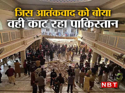 Peshawar Attack Update: भारत के खिलाफ आतंकियों को पालना पाकिस्तान को पड़ रहा भारी, जिन सांपों को दूध पिलाया अब वही काट रहे