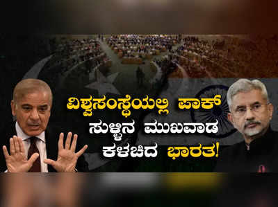 India VS Pak: ವಿಶ್ವಸಂಸ್ಥೆಯಲ್ಲಿ ಪಾಕ್‌ ಮುಖವಾಡ ಕಳಚಿದ ಭಾರತ! ಸುಳ್ಳಿನ ಪರ್ವತವನ್ನೇ ಕಟ್ಟಿದ್ದ ಪಾಕ್‌ಗೆ ಇಂಡಿಯಾ ಶಾಕ್‌