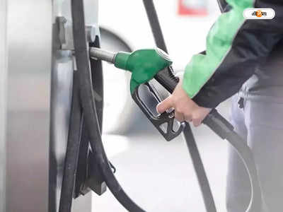Pakistan Petrol Diesel Price : পাকিস্তানে আরও দামি জ্বালানি, পেট্রোল-ডিজেল লিটারে বাড়ল ৩৫ টাকা