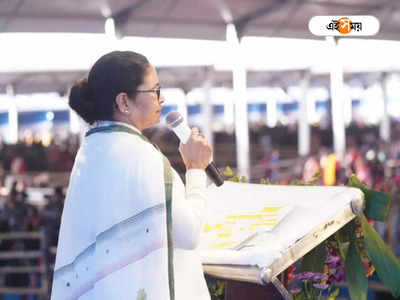 Mamata Banerjee on PM Awas Yojana: একটা স্কুটি থাকলেও বাড়ি হবে না তবে পাবেটা কে? আবাস যোজনার শর্ত নিয়ে প্রশ্ন মমতার