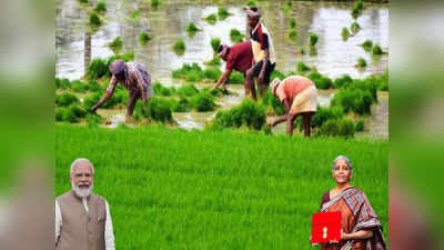 Agriculture Budget: రైతులకు భారీగా రుణాలు.. శ్రీఅన్న స్కీమ్.. బడ్జెట్‌లో కీలక ప్రకటనలు ఇవే..