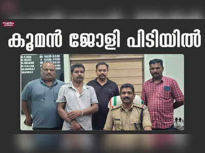 വീട്ടമ്മയെ ആക്രമിച്ച് മാല കവർന്നു; പ്രതി പിടിയിൽ 