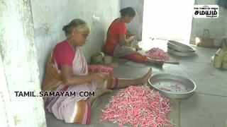விருதுநகர் -14 பட்டாசு ஆலைகளின் உரிமத்தை தற்காலிகமாக ரத்து செய்த மாவட்ட ஆட்சியர்