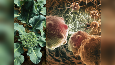 कैंसर को अकेले मात देती है ये हरी सब्जी, स्टडी का दावा- रोज खाने से शरीर में घातक सेल्स बनते ही हो जाएंगे खत्म