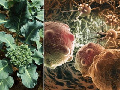 कैंसर को अकेले मात देती है ये हरी सब्जी, स्टडी का दावा- रोज खाने से शरीर में घातक सेल्स बनते ही हो जाएंगे खत्म