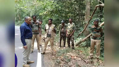 ಕೊಡಗಿನ ಮಾಕುಟ್ಟ ಬಳಿ ಕೇರಳ ತ್ಯಾಜ್ಯ: ಪರಿಸರ ರಕ್ಷಣೆಗೆ ಅಧಿಕಾರಿಗಳು ವಿಫಲ: ಸಾರ್ವಜನಿಕರ ಅಸಮಾಧಾನ