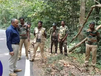 ಕೊಡಗಿನ ಮಾಕುಟ್ಟ ಬಳಿ ಕೇರಳ ತ್ಯಾಜ್ಯ: ಪರಿಸರ ರಕ್ಷಣೆಗೆ ಅಧಿಕಾರಿಗಳು ವಿಫಲ: ಸಾರ್ವಜನಿಕರ ಅಸಮಾಧಾನ