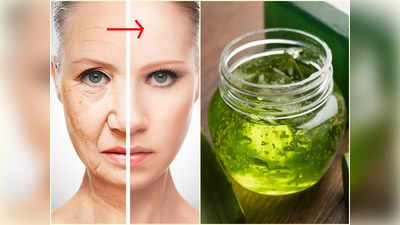 Aloe Vera For Skin: বয়সের কাঁটা ছুটবে বিপরীতে, টানটান ত্বক পেতে ঘরে তৈরি অ্যালোভেরা জেল এই নিয়মে মাখুন