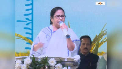 Mamata Banerjee : শেয়ার বাজারে ধস, সরকার পড়ে যাচ্ছিল! বাজেট নিয়ে বিস্ফোরক মমতা