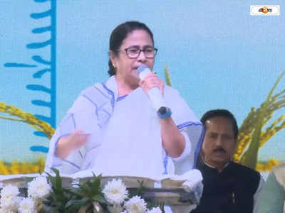 Mamata Banerjee : শেয়ার বাজারে ধস, সরকার পড়ে যাচ্ছিল! বাজেট নিয়ে বিস্ফোরক মমতা