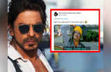 Pathaan Memes: बॉक्स ऑफिस पर अंगार बरसा रही SRK की पठान! इंटरनेट पर वायरल हुए मीम्स