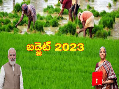 Budget 2023: రైతుల ఆదాయం రెట్టింపు చేస్తామన్నారు..! కానీ నిర్మలమ్మ అదెలా మిస్సయ్యారు?