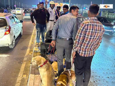 Maa Flyover : মা ফ্লাইওভারে পরিত্যক্ত ব্যাগ ঘিরে বোমাতঙ্ক, তল্লাশিতে পুলিশ-বোম্ব স্কোয়াড