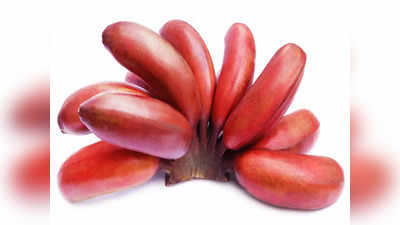 Red Banana Health Benefits: ఈ పండు రోజుకొకటి తింటే.. హైబీపీ కంట్రోల్‌‌లో ఉంటుంది..!