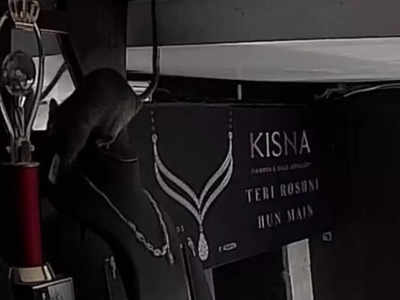 Viral Video : ವಜ್ರದ ನೆಕ್ಲೇಸ್ ಕಳ್ಳತನ...! : ಸಿಸಿ ಕ್ಯಾಮೆರಾದಲ್ಲಿ ಕಳ್ಳ `ಇಲಿ ಸೆರೆ...!