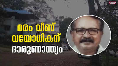 പരാതിപെട്ടിട്ടും മുറിച്ച് മാറ്റിയില്ല; മരം വീണ് വയോധികൻ മരിച്ചു