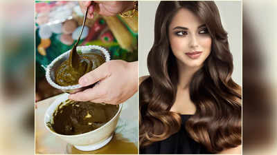 Henna Hair Packs: চুল ওঠা বন্ধ হয়ে মাথা ভর্তি নতুন চুল গজাবে ২ সপ্তাহেই, ৩ হেনা হেয়ার প্যাকেই হবে ম্যাজিক