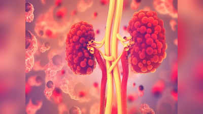 Kidney Cancer Symptoms: మూత్రంలో రక్తం వస్తే.. కిడ్నీ క్యాన్సర్‌కు సంకేతమా..?