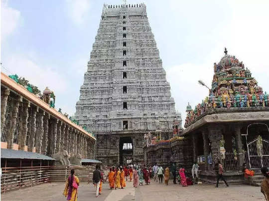 Tiruvannamalai Girivalam,திருவண்ணாமலை கிரிவலம் : ஆண்கள், பெண்கள் எப்படி  செல்ல வேண்டும் தெரியுமா? - tiruvannamalai girivalam : rules for gents and  ladies - Samayam Tamil