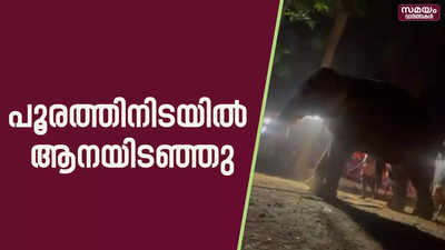 പൂരത്തിനിടയിൽ ആനയിടഞ്ഞു; രണ്ടാം പാപ്പാന് ഗുരുതര പരിക്ക്