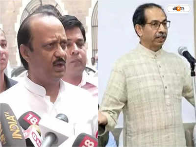 Ajit Pawar On Uddhav Thackeray : শিন্ডে শিবিরের বিক্ষোভ নিয়ে আগেই সতর্ক করা হয়েছিল উদ্ধবকে, আফশোসের সুর অজিতের গলায়