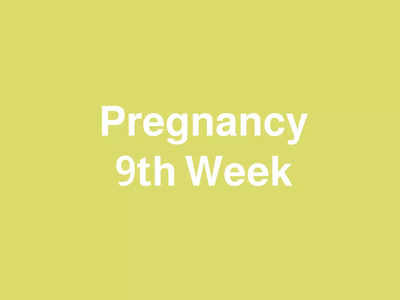 9 Weeks Pregnant: കുഞ്ഞ് മുഖം വളരുന്ന ഒൻപതാം ആഴ്ച; ഒപ്പം ഈ സമയത്തെ മറ്റ് മാറ്റങ്ങളും