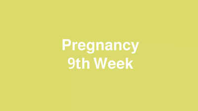 9 Weeks Pregnant: കുഞ്ഞ് മുഖം വളരുന്ന ഒൻപതാം ആഴ്ച; ഒപ്പം ഈ സമയത്തെ മറ്റ് മാറ്റങ്ങളും