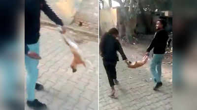 Viral Video: मासूम पिल्ले की जान के साथ कर रहे थे खिलवाड़, IAS ने पूछा- जानवर कौन?