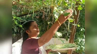 കൃഷിയോടും ഏറെയിഷ്ടം; ജൈവപച്ചക്കറി കൃഷിയില്‍ മാതൃകയാണ് ഈ ബ്ലോക്ക് പഞ്ചായത്ത് പ്രസിഡന്‍റ്