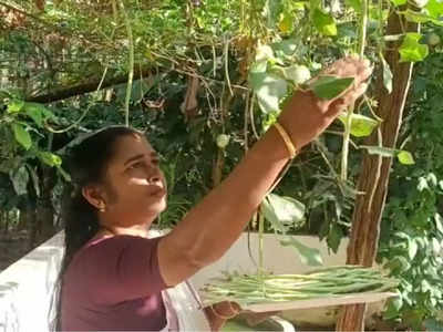 കൃഷിയോടും ഏറെയിഷ്ടം; ജൈവപച്ചക്കറി കൃഷിയില്‍ മാതൃകയാണ് ഈ ബ്ലോക്ക് പഞ്ചായത്ത് പ്രസിഡന്‍റ്