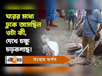 Shantipur: ঘরের মধ্যে ঢুকে আসছিল ওটা কী, দেখে চক্ষু চড়কগাছ!