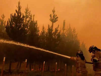 Chile wildfires: ಚಿಲಿಯನ್ನು ಸುಡುತ್ತಿದೆ ಕಾಳ್ಗಿಚ್ಚು, ವ್ಯಾಪಿಸಿದ ಜ್ವಾಲೆಗೆ 23 ಮಂದಿ ಬಲಿ