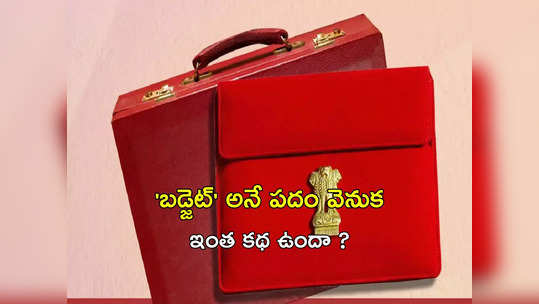 Budget: బడ్జెట్ అనే పదానికి అర్థమేంటి ?.. ఎలా వాడుకలోకి వచ్చిందో తెలుసా ! 