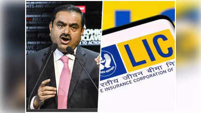 Adani LIC News : तोटा? LICचा तर फायदा झालाय; अदानींच्या शेअर्समध्ये १ रुपयाही बुडाला नाही!