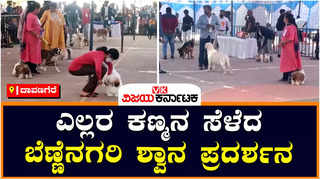 Dog show: ದಾವಣಗೆರೆಯಲ್ಲಿ ನಡೆದ ರಾಜ್ಯಮಟ್ಟದ 6ನೇ ಶ್ವಾನ ಪ್ರದರ್ಶನ: ವಿಭಿನ್ನ ತಳಿಗಳು ಭಾಗಿ