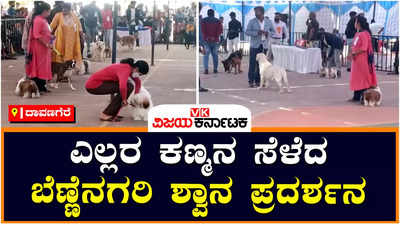 Dog show: ದಾವಣಗೆರೆಯಲ್ಲಿ ನಡೆದ ರಾಜ್ಯಮಟ್ಟದ 6ನೇ ಶ್ವಾನ ಪ್ರದರ್ಶನ: ವಿಭಿನ್ನ ತಳಿಗಳು ಭಾಗಿ