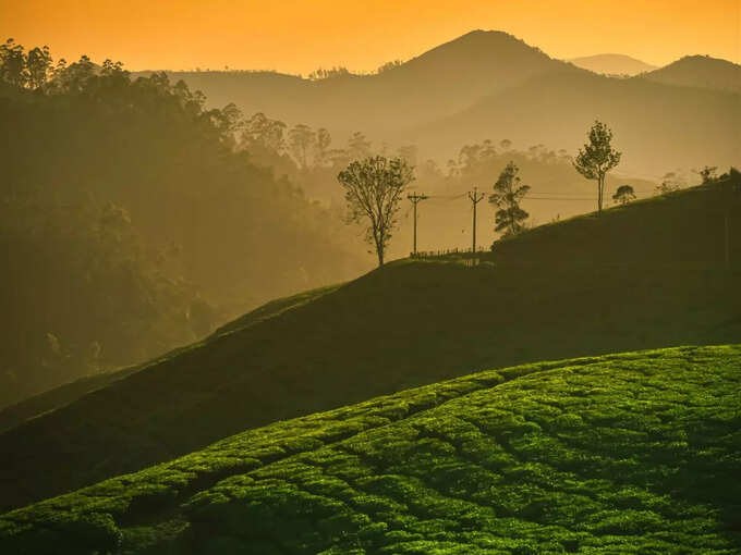 ಮುನ್ನಾರ್‌ಗೆ ಹೇಗೆ ತಲುಪಬೇಕು? 