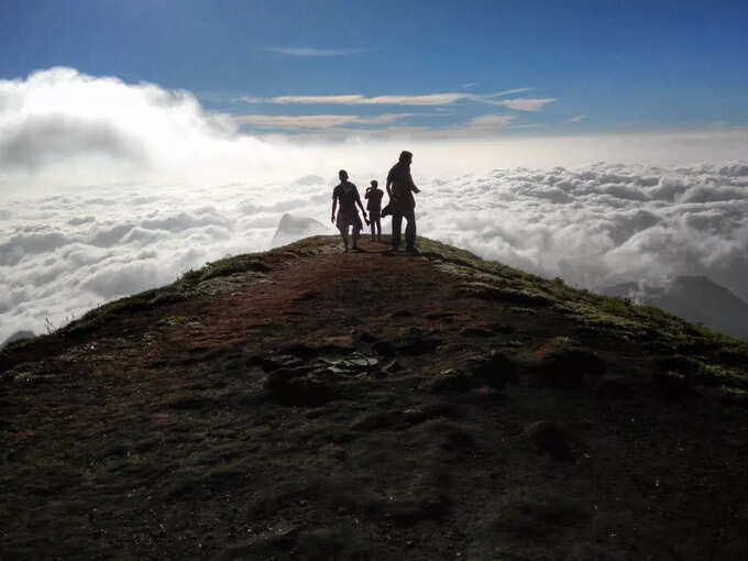 ಮುನ್ನಾರ್‌ನಲ್ಲಿ ಎರಡನೇ ದಿನ ಹೀಗೆ ಕಳೆಯಿರಿ