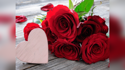 Happy Rose Day 2023 Wishes: તમારા પાર્ટનરને મોકલી આપો આ શુભેચ્છા સંદેશ
