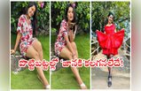 Priyanka Jain: ‘జానకి కలగనలేదు’ హీరోయిన్ థైస్ షో.. పొట్టి బట్టల్లో నిజంగానే కలగనలేదుగా!