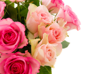 Rose Day: चुकूनही देऊ नका बायको व गर्लफ्रेंडला एकाच रंगाचं गुलाब, वाचा प्रत्येक रंगाचा अर्थ मग करा निवड नाहीतर