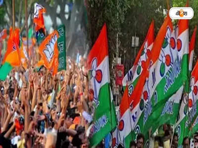 Meghalaya TMC On BJP : জোট নিয়ে দ্বিচারিতা করছে বিজেপি, মেঘালয়ে শাসক শিবিরকে নিশানা তৃণমূলের